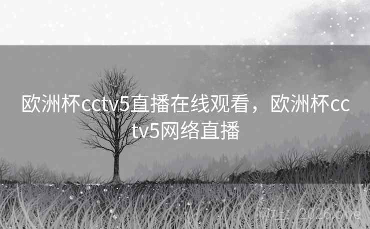 欧洲杯cctv5直播在线观看，欧洲杯cctv5网络直播