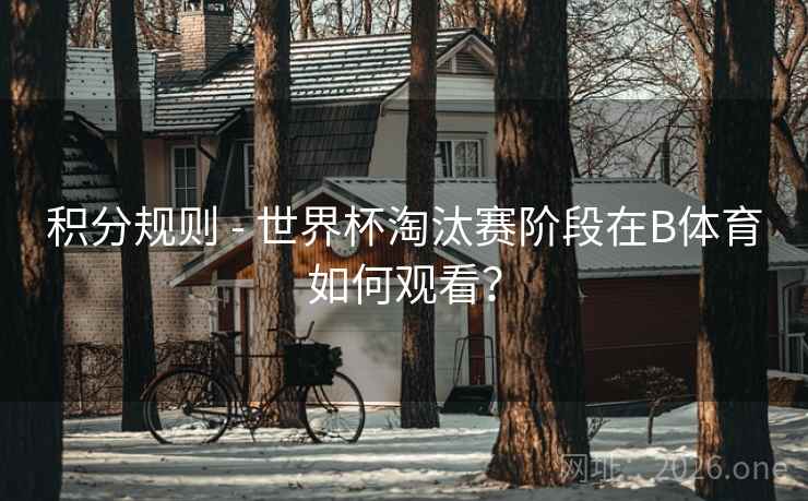 积分规则 - 世界杯淘汰赛阶段在B体育如何观看？