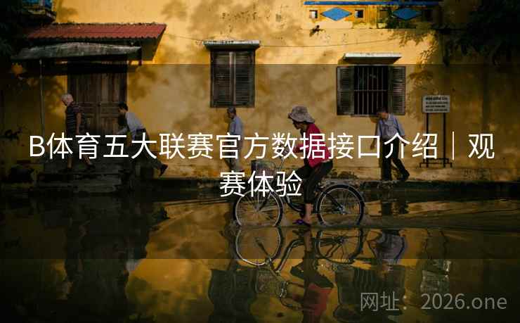 B体育五大联赛官方数据接口介绍｜观赛体验