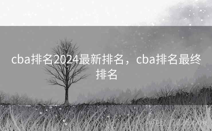 cba排名2024最新排名，cba排名最终排名